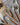 COOKWARE ESSENTIALS - Quietasty